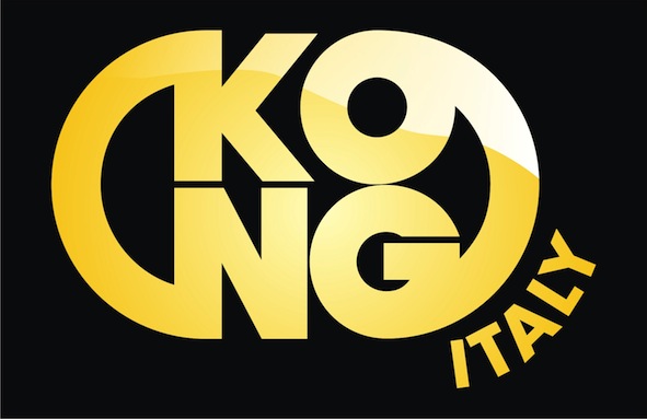 logo_kong